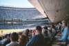 abeautifulsudayafternoonatthestadiumitwaspacked_small.jpg