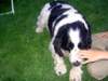 joe_beth_wedding067_small.jpg