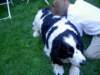 joe_beth_wedding068_small.jpg
