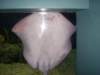 Photo Number 9
