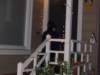 trickortreatingonourblock_small.jpg