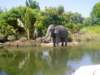 legoelephant_small.jpg