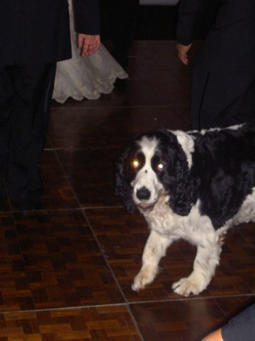 joe_beth_wedding103.jpg