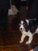 joe_beth_wedding103_small.jpg