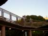 dland031_small.jpg