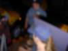 dland037_small.jpg