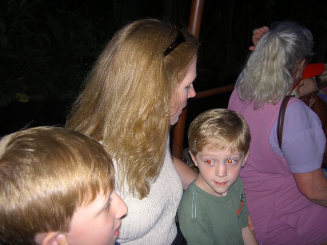 dland055.jpg