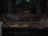 dland056_small.jpg