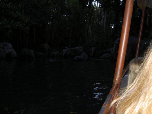 dland057.jpg