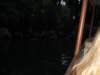 dland057_small.jpg