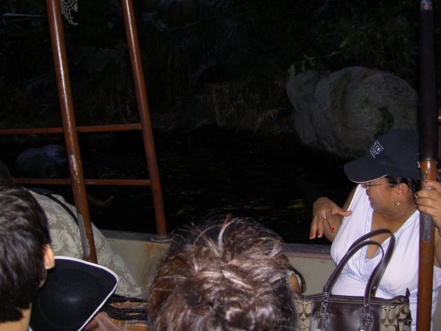 dland059.jpg