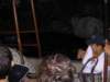 dland059_small.jpg