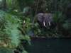 dland061_small.jpg