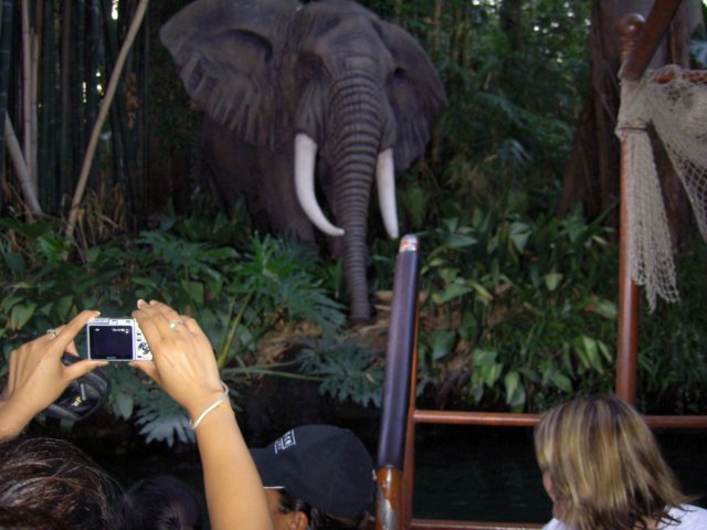 dland062.jpg