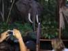 dland062_small.jpg