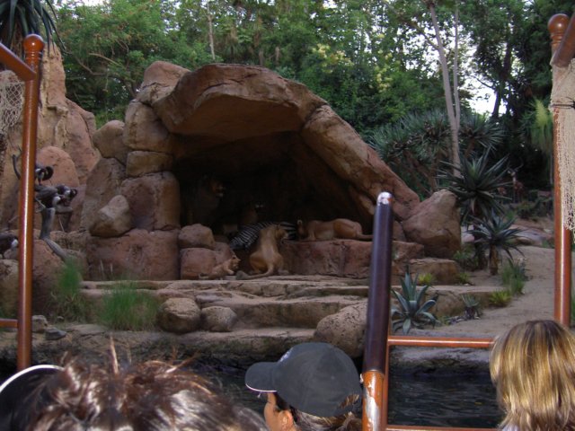 dland063.jpg