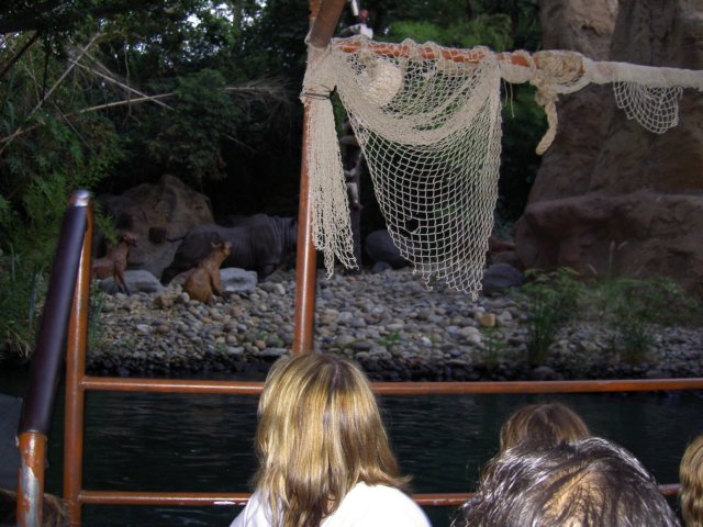 dland064.jpg