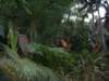 dland066_small.jpg