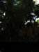 dland067_small.jpg