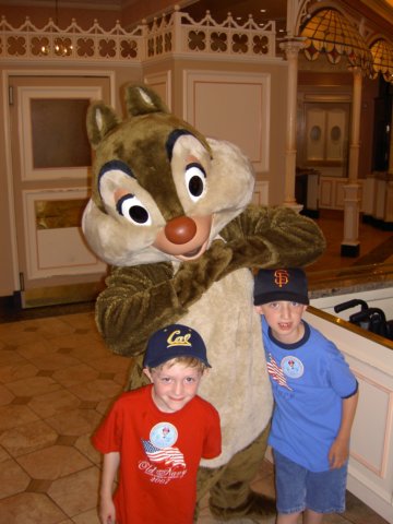 dland081.jpg