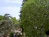 dland086_small.jpg