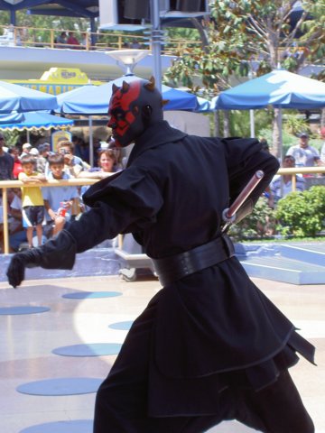 dland097.jpg