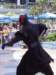 dland097_small.jpg