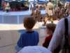 dland099_small.jpg