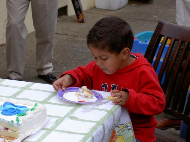 Photograph