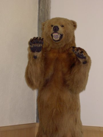 goldenbear.jpg