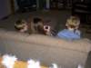 xmasday06109_small.jpg