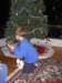 xmasday06125_small.jpg