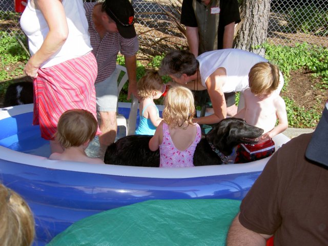 party093jpg.jpg